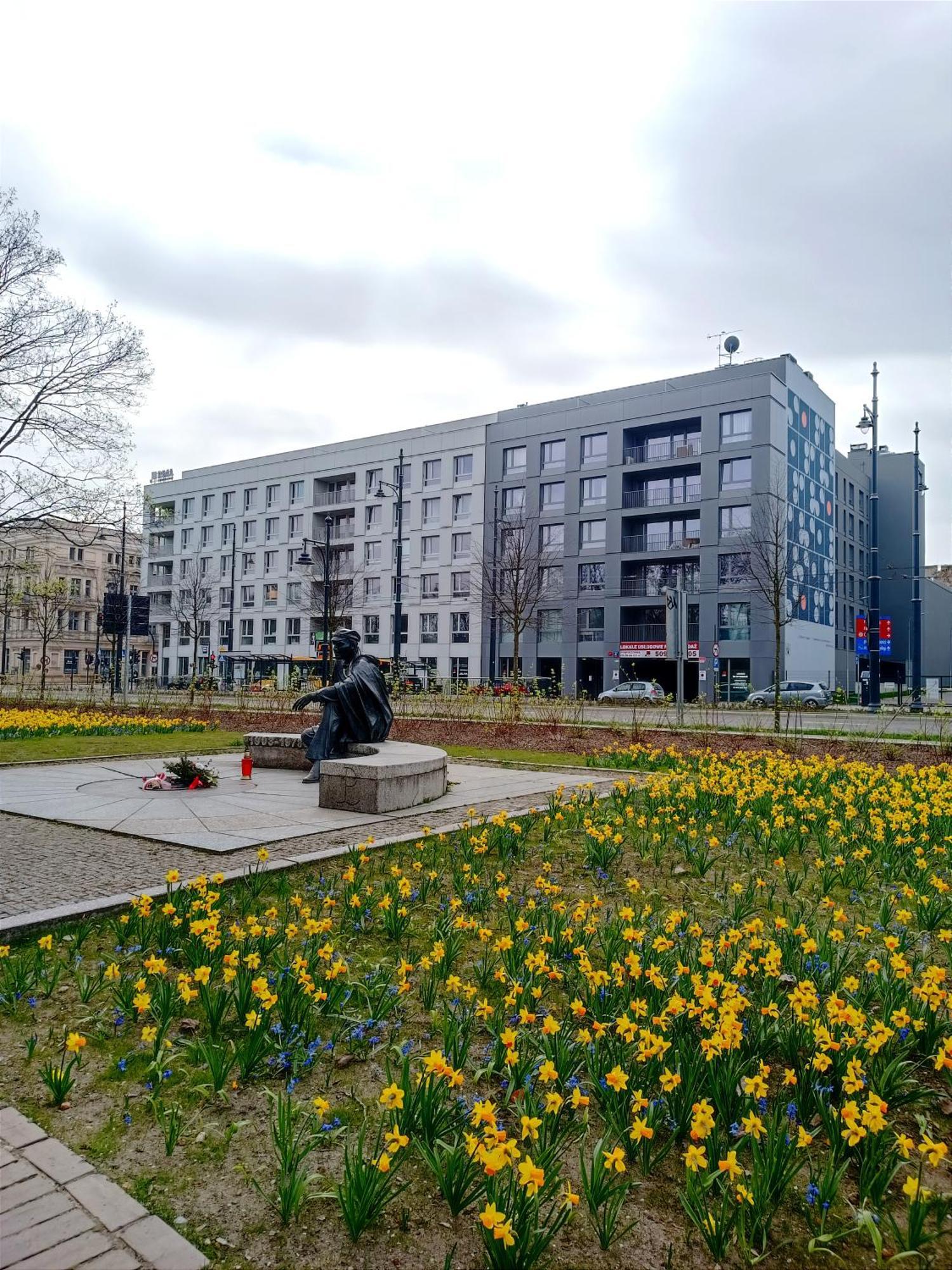 Alfahome Centrum * Lodz (Lodz)